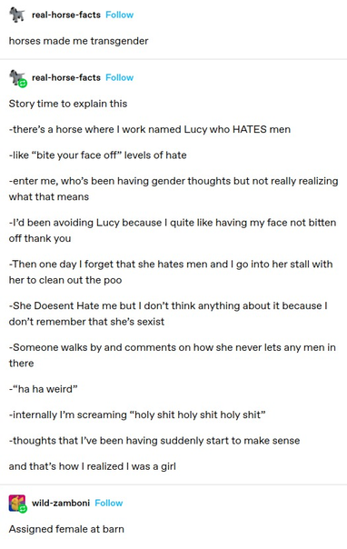 real-horse-facts: horses made me transgender

real-horse-facts:

Story time to explain this

-there’s a horse where I work named Lucy who HATES men

-like “bite your face off” levels of hate

-enter me, who's been having gender thoughts but not really realizing what that means

-I'd been avoiding Lucy because I quite like having my face not bitten off thank you

-Then one day | forget that she hates men and | go into her stall with her to clean out the poo

-She Doesent Hate me but I don't think anything about it because I don’t remember that she’s sexist

-Someone walks by and comments on how she never lets any men in there

-"ha ha weird”

-internally I'm screaming “holy shit holy shit holy shit"

-thoughts that I've been having suddenly start to make sense

and that’s how I realized I was a girl

wild-zamboni: Assigned female at barn