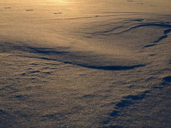 photo of wind beaten snow covered ground. There are patterns and curves that remind me of an abstract painting.