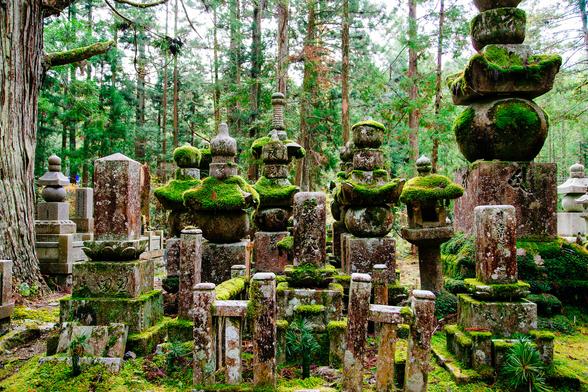 One part of the vast graveyard on Koya-san. Moss covers numerous grave markers and other statues in the foreground, large evergreen trees line the background.