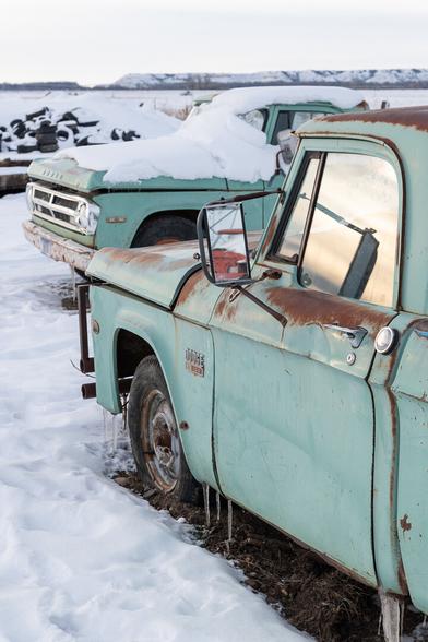 Two 1960s Dodge pickup trucks, both the same pale green colour, stand rusting in the snow. The sunset is reflected in the driver's side window of one