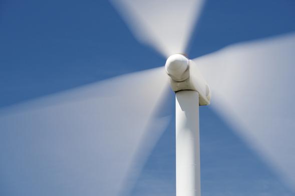 Foto: Foto: Greens and Blues/Shutterstock