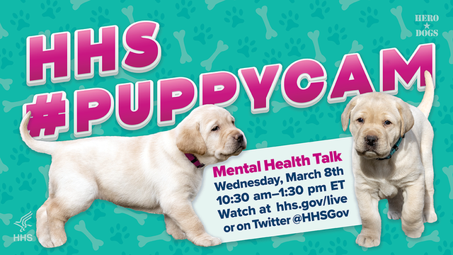 #PuppyCam livestream at 10:30 am EST March 8, https://www.hhs.gov/live/live-1/index.html#8896