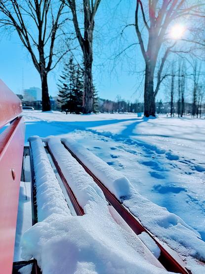 A park bench covered in snow with the sun shining in the background.