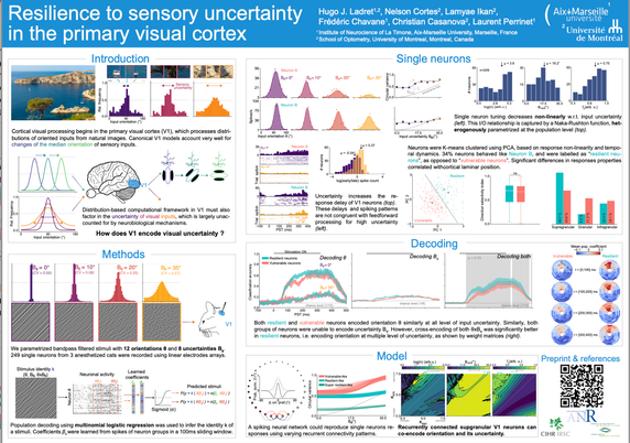 a snapshot of Hugo Ladret's poster at COSYNE in low res, because it's better to see and speak him in person / virtually !