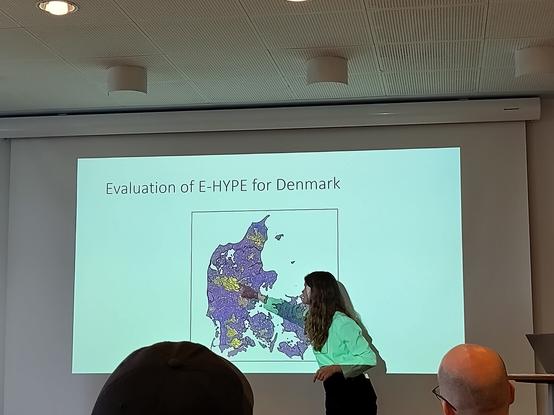 Woman pointing at a slide showing map of Denmark with title Evaluation of E-Hype for Denmark