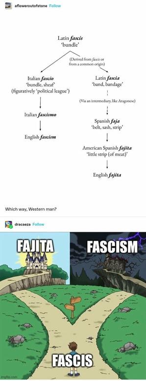 afloweroutofstone: Diagram of evolution of word Latin "fascis" meaning bundle. It branches into two paths.
1. Italian fascinating (bundle, sheaf, figuratively political league)
Italian fascismo
English fascism
2. Latin fascia (band, bandage)
Via an intermediary like Aragonese
Spanish faja (belt, sash, strip)
American Spanish fajita (little strip of meat)
English fajita 
Which way, western man?

dracaeza: Two paths meme format. A figure stands at a forking path, they are labelled fascis. At the end of one path is a gleaming, sunny castle labelled fajita. At the other, a stormy, spooky castle labelled fascism