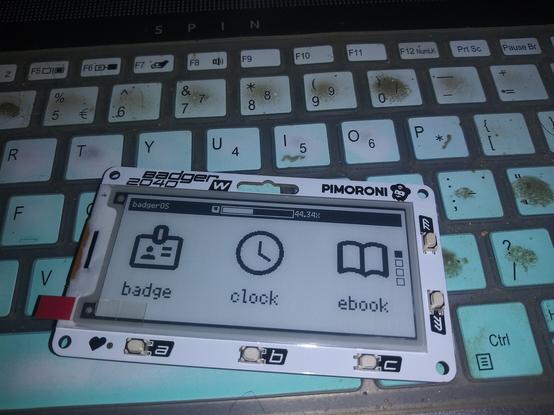 Badger 2040 W lazing on a slightly mucky laptop keyboard cover