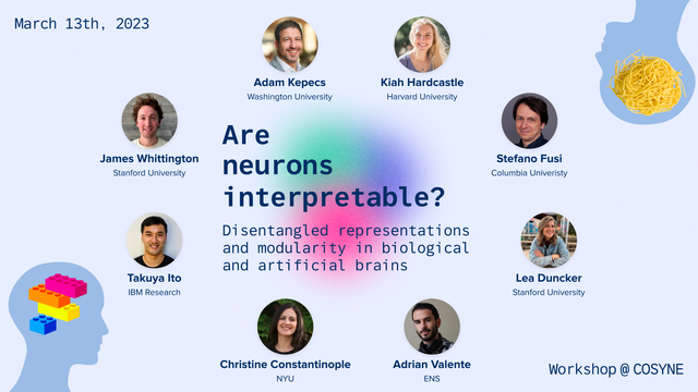March 13th, Cosyne Workshop on neuron interpretability featuring:

Morning session
8:00 - Lea Duncker
8:30 - Adrian Valente
15 min break
9:15 - Takuya Ito
9:45 - Christine Constantinople

Afternoon session 
4:00 - Adam Kepecs
4:30 - James Whittington
15 min break
5:15 - Kiah Hardcastle
5:45 - Stefano Fusi
6:20 - Panel discussion