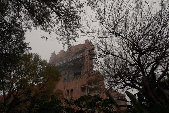 The tower looking up through the trees from the queue