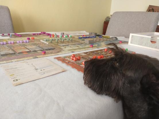 Peque seated at the table where we are playing Weather Machine
