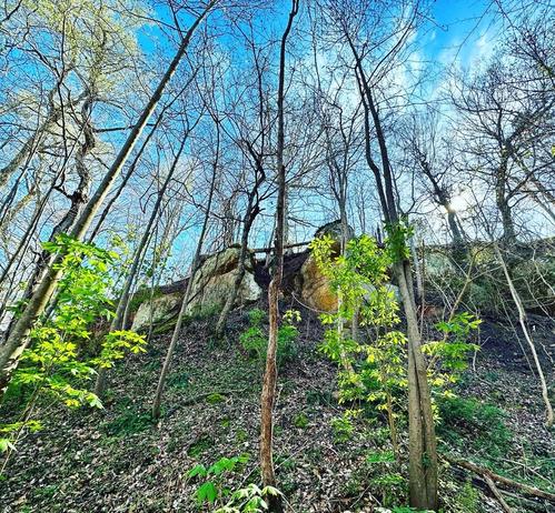 A river bluff with green growth along the bluff