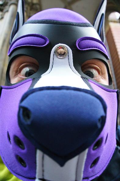 Human pup in fisheye view filling the whole frame