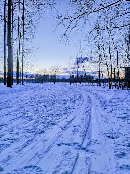 A path in the snow for skiing in the sunset.