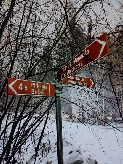 Three brown signs in different directions in the middle of snow.