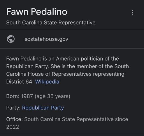 Rep. Fawn Pedalino

GOP; serves SC district 64; age 35; elected in 2022.
