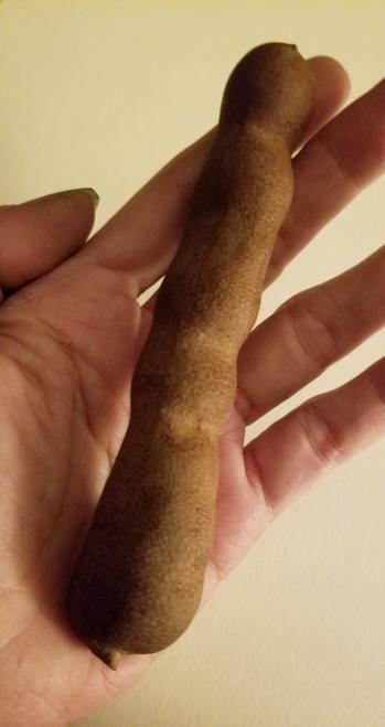 Unshelled tamarind fruit.