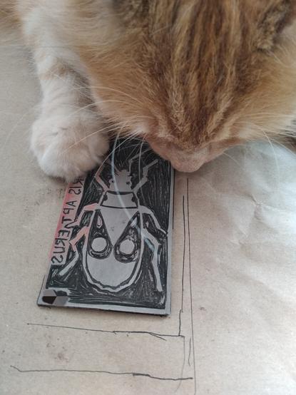 Shot from above, orange car head and paw sniffing and holding grey linocut of a firebug