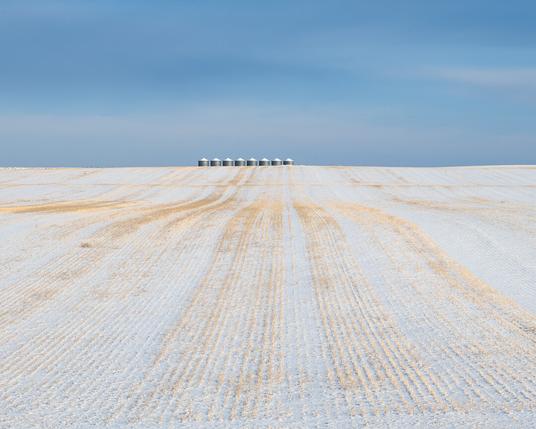 A photo of two halves. Upper half shows blue sky with subtle clouds. Lower half shows receding golden stripes of wheat stubble in snow - all leading towards a line of 8 grain silos on the horizon