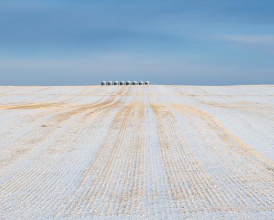 A photo of two halves. Upper half shows blue sky with subtle clouds. Lower half shows receding golden stripes of wheat stubble in snow - all leading towards a line of 8 grain silos on the horizon