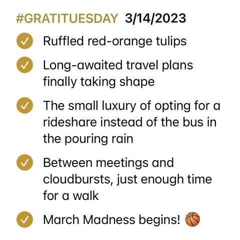Screenshot of a notepad list with all items checked off as complete. List reads:

#GRATITUESDAY 3/14/2023 

— Ruffled red-orange tulips 

— Long-awaited travel plans finally taking shape 

— The small luxury of opting for a rideshare instead of the bus in the pouring rain

— Between meetings and cloudbursts, just enough time for a walk 

— March Madness begins!