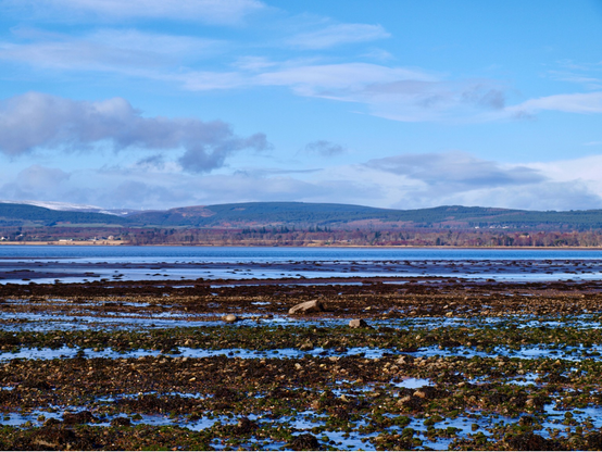 Photo of a sea shore with tide out. Rocks and seaweed strata visible in the foreground. A bright blue sea (firth) with tree lined far shore and hills above. A glimpse of snow far left . Blue sky with white and grey cloud.