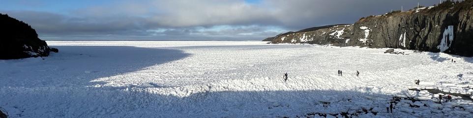 A small ocean cove is filled with sea ice. The ice bits are compacted along the shoreline, and rocky cliffs surround the cove. The sky is blue with some fog. And grey thin clouds obscuring the view. The setting sun casts strong shadows from the cliffs on the left side of the image. A dozen or so people are perched on different parts of the compacted ice in the foreground.