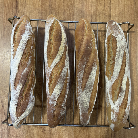 Closeup of four baguettes on a cooling rack, taken from above. They are nicely brown, with white stripes where flour stuck to the dough. There is not much in the way of a visible oven burst - I'm pretty sure my final slashes of the dough before the baguettes went into the oven were slightly too shallow - but I've been baking these for a few years and they'll taste grand.