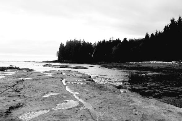 Monochrome photo of Botanical Beach on Vancouver Island.