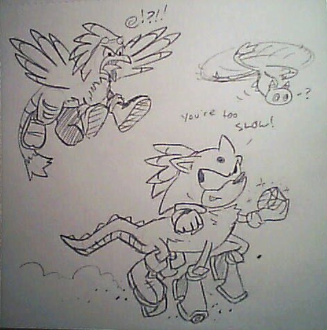 The weird Jet from the first picture chases a creature with Sonic's face and arms, Blaze's hair, Shadow's chest hair and legs as centaur forelegs, Silver's legs as centaur hind legs, and Vector's tail. Next to him flies a three-tailed Chao with pointed ears. The Sonic thing is holding a Chaos Emerald and saying, "You're too slow!" while the Jet thing curses.