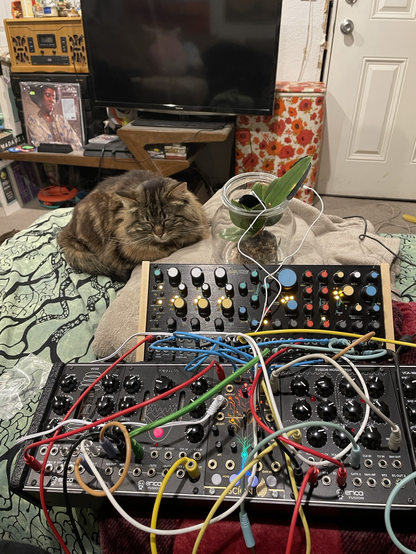 Pittsburgh Modular Taiga and Erica Synths Das Klein with Orchid voicing