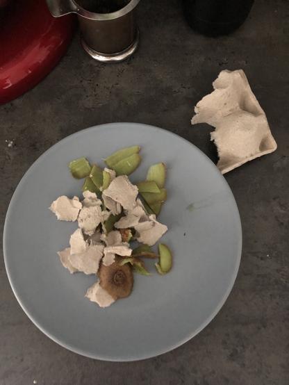 Une assiette gris foncé. Dedans, des épluchures de kiwi et des trucs gris pas forcément identifiable. A droite de l’assiette un reste de boîte à œufs: le truc gris c’est du carton déchiré (il faut équilibrer le repas des lombrics)