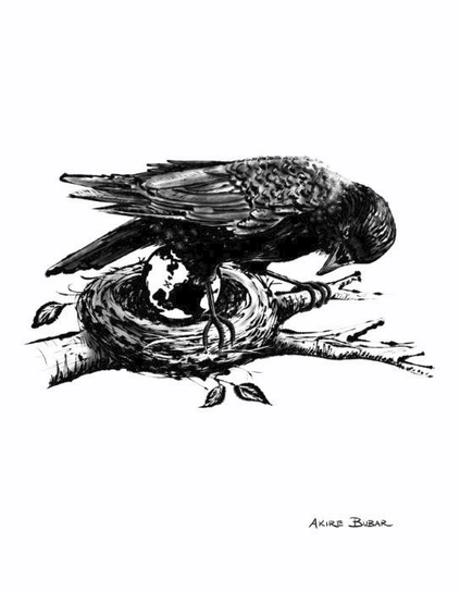 A drawing of a crow not-quite-sitting on an egg in a nest — except the egg is actually the world, with an "X" placed on the northeastern United States. The crow is standing with their feet braced on either side of the nest, their head down and peering between their legs to better examine the world-egg. The nest has a few leaves sticking off the sides of it here and there, and is shown sitting at the crook of a branch. The illustration is drawn digitally in inky black and grey on a white background, and signed "Akire Bubar" by the artist in the bottom right corner.