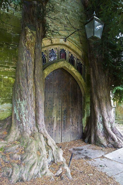 St Edward’s Church Stow-on-the Wold. Consecrated before 1086 Medieval church peaked door with two ancient trees on either side right against the walls of the church. An arc of small stain glass windows over the door.