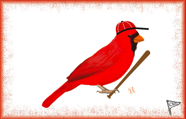 Our cardinal mascot is playing baseball!
