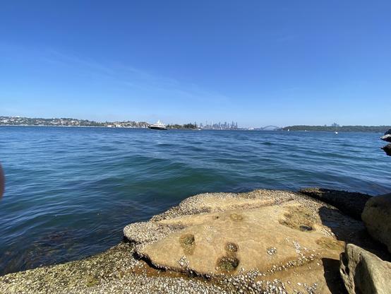 Sydney harbour from milk beach looking back towards the harbour bridge. It is a new sunny day with clear blue skies and water. A large sandstone rock is in the foreground.