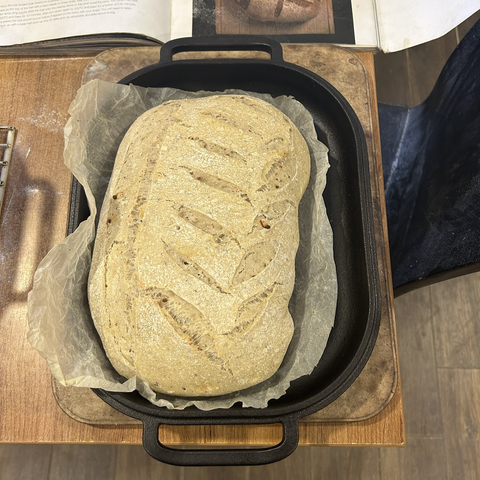Closeup, from above, of the bread after 15 minutes of baking with the lid on (and an ice-cube thriwn in before I closed the lid.) the dough has hardly coloured but it has risen well.