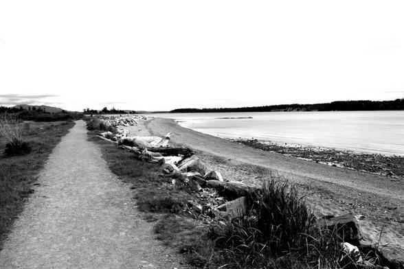 Island View Beach park. The beach & walking trail that runs beside it. Black and white photo.
