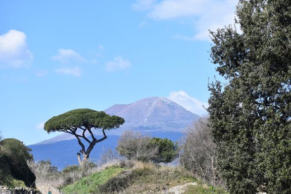 Vesuvius rises out of the landscape in the distance,  sunlit against a pale blue sky with scattered clouds. In the foreground are a number of trees, with a particularly nice specimen of one of those flat top Pines Italy is famous for on the left.