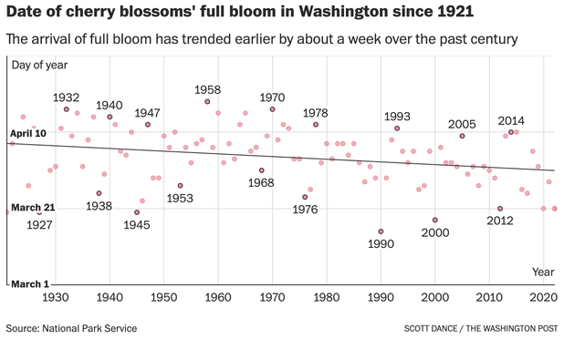 scatter plot and linear trend line of DC cherry blossom peak bloom days, 1921 to 2022