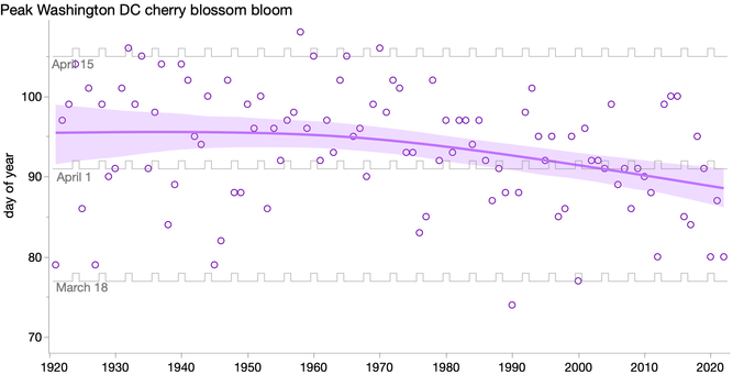 scatter plot and smooth trend curve of DC cherry blossom peak bloom days, 1921 to 2022