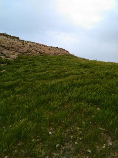 تصویر شامل آسمان، کوه و سبزه است.