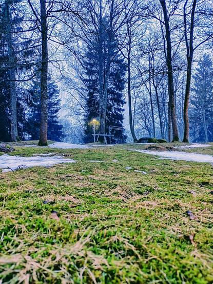 Green grass revealed underneath snow in a foggy evening.
