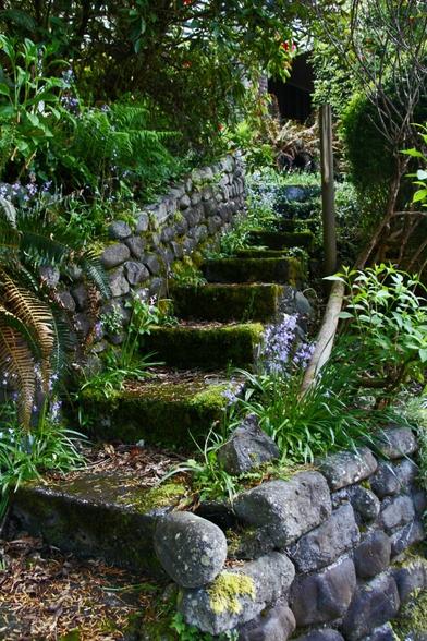 Moss covered old stone stairs & rock wall in the forest.