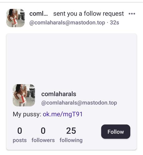 Screenshot of pornbot spam