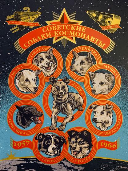 A poster of all nine of the dogs who the Soviets sent to orbit from 1957-1966. Each dog's head portrait has a red and gold ring around it with their name. There are images of Soviet spacecraft in the top corners above a red star and a banner reading 'Soviet Space Dogs'. Except in this version all the text is in Russian.