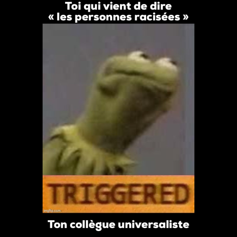 Meme de Kermit la grenouille : « toi qui vient de dire « les personnes racisées » 
Ton collègue universaliste : TRIGGERED