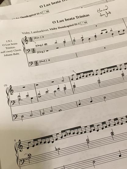 Printed-out rough draft of the engraving of this transcription