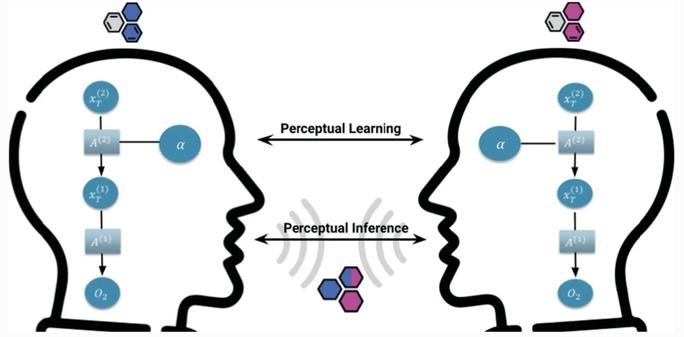 Figure illustrating the simulation of the Global Dynamics of Cumulative Culture with local perceptual learning and inference