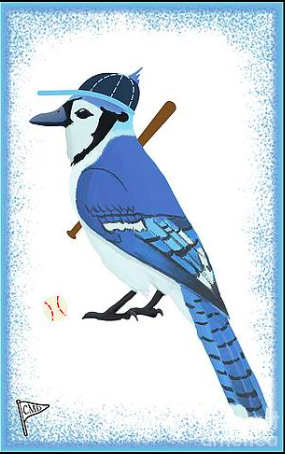 Our bluejay mascot is playing baseball