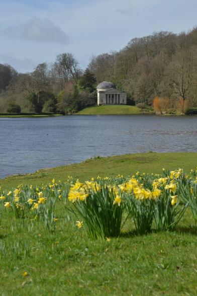 A view of the iconic Pantheon across the lake at Stourhead Gardens, with daffodils in the foreground.